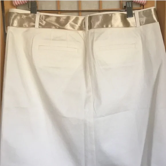 Ann Taylor Midi Cream Skirt SZ 14 NWT - Picture 6 of 8